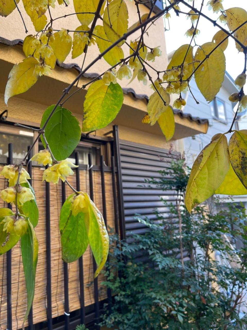 Annam - Whole Three Story House 大阪